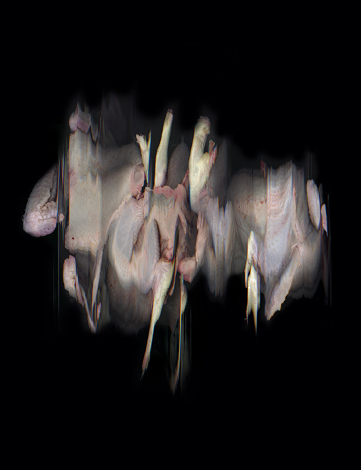 Anamorphosis Series - Untitled1 Anamorphosis Series - Untitled1