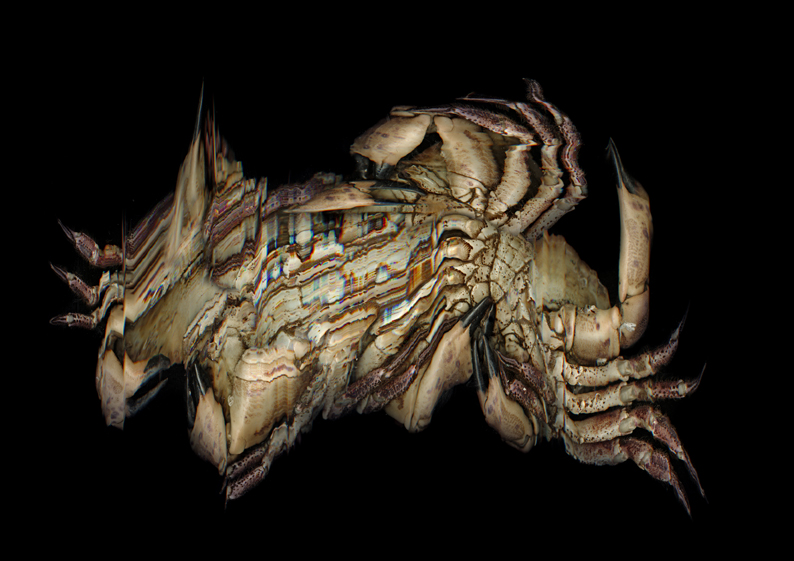 Anamorphosis Series - Untitled 2