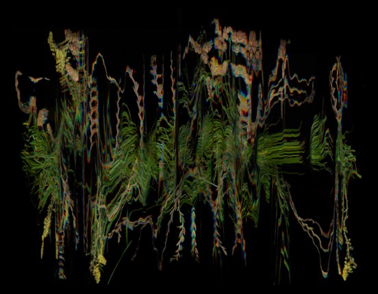 KMelancon_SevenSistersSeriesStillLife2 - Grass, Scrub, Woodland