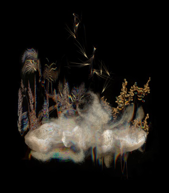 KMelancon_SevenSistersSeriesStillLife3 - Muttons