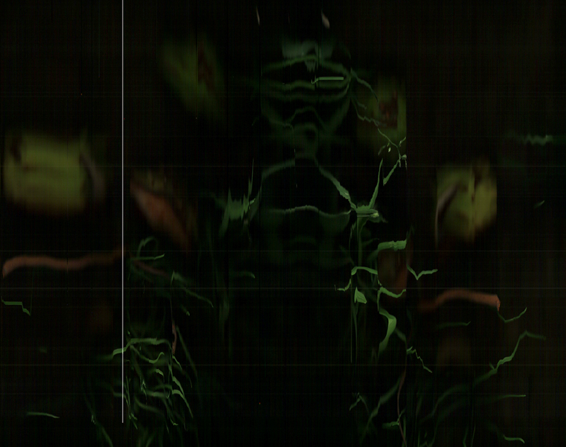 Nightlife-London Series, 14 steps North Burghley Road