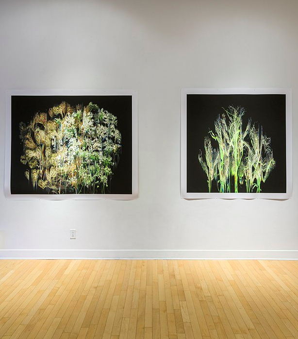 ChampPossibles_KMelancon