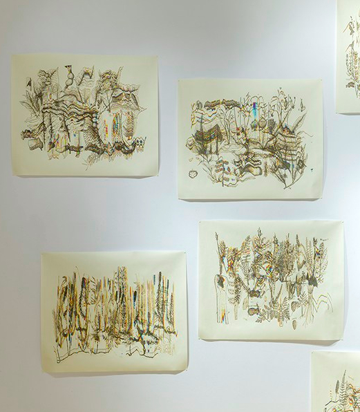 LaFloreLaurentienne_KMelancon